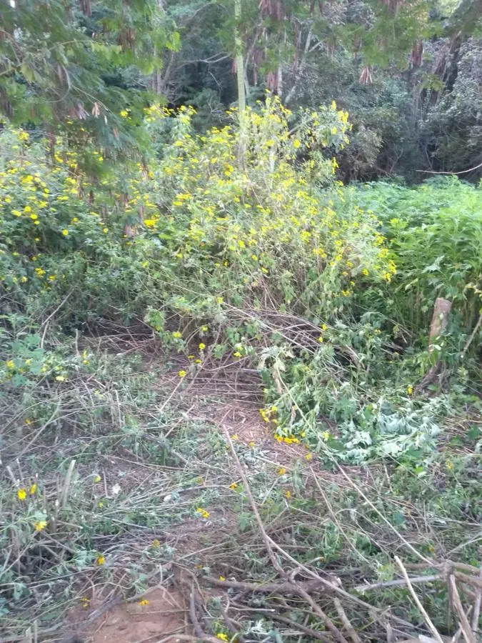 Plot for sale of 2,500 m² in Mairinque, SP, Brazil