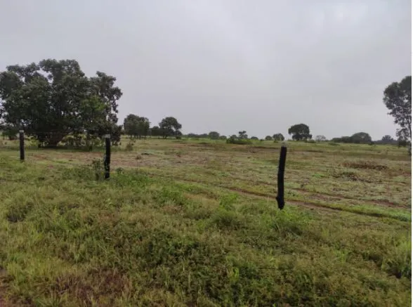 Fazenda à venda de 1.118 ha em Lagoa da Confusão, TO, Brasil