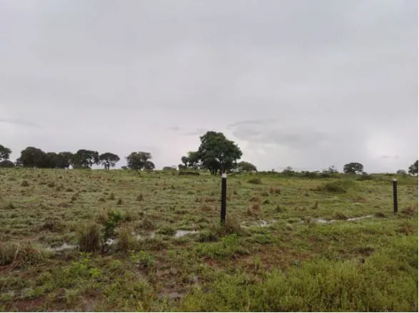 Fazenda à venda de 1.118 ha em Lagoa da Confusão, TO, Brasil