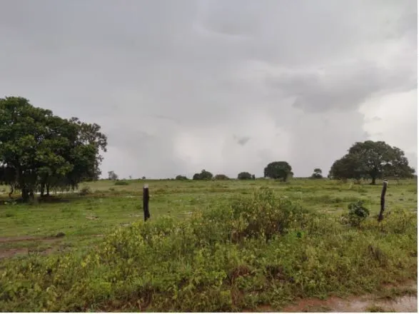 Fazenda à venda de 1.118 ha em Lagoa da Confusão, TO, Brasil