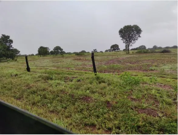 Fazenda à venda de 1.118 ha em Lagoa da Confusão, TO, Brasil