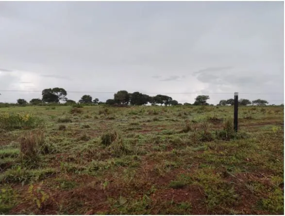 Fazenda à venda de 1.118 ha em Lagoa da Confusão, TO, Brasil