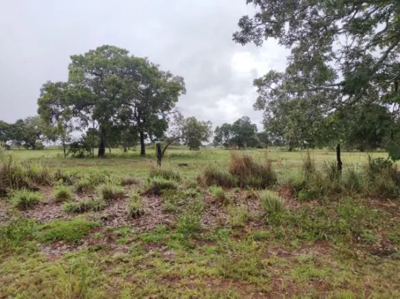 Fazenda à venda de 1.118 ha em Lagoa da Confusão, TO, Brasil