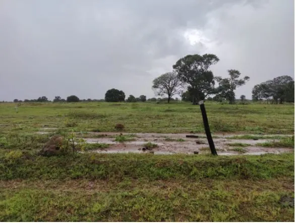Fazenda à venda de 1.118 ha em Lagoa da Confusão, TO, Brasil
