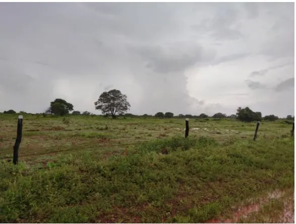 Fazenda à venda de 1.118 ha em Lagoa da Confusão, TO, Brasil