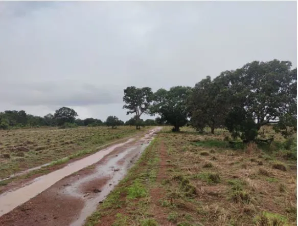 Fazenda à venda de 1.118 ha em Lagoa da Confusão, TO, Brasil