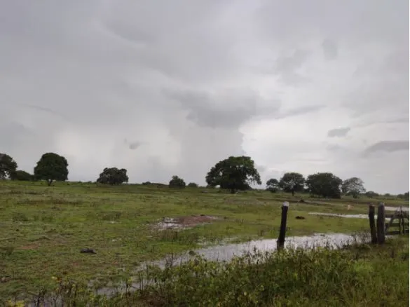 Fazenda à venda de 1.118 ha em Lagoa da Confusão, TO, Brasil