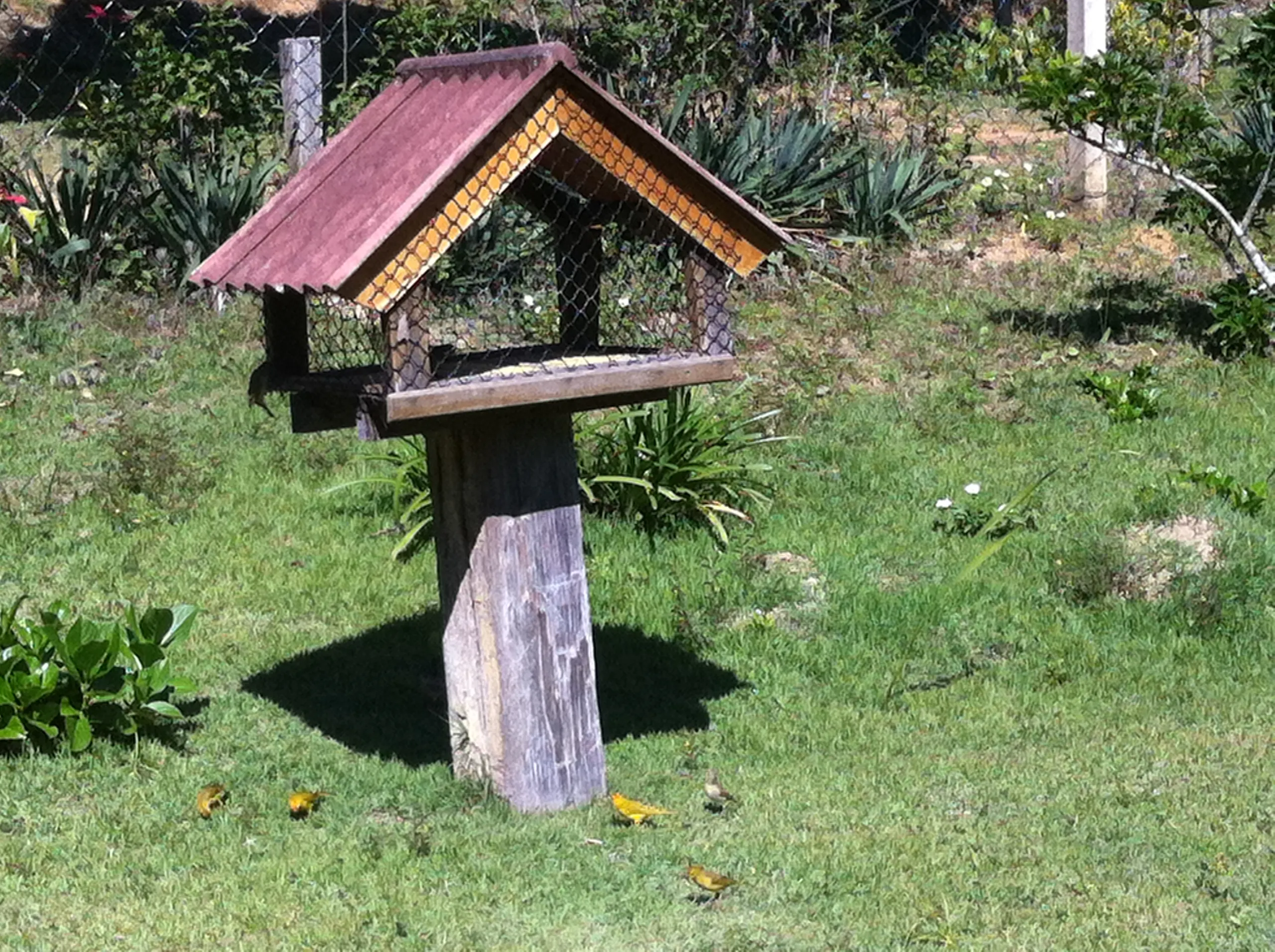 Small farm for sale of 104 acres in Domingos Martins, ES, Brazil