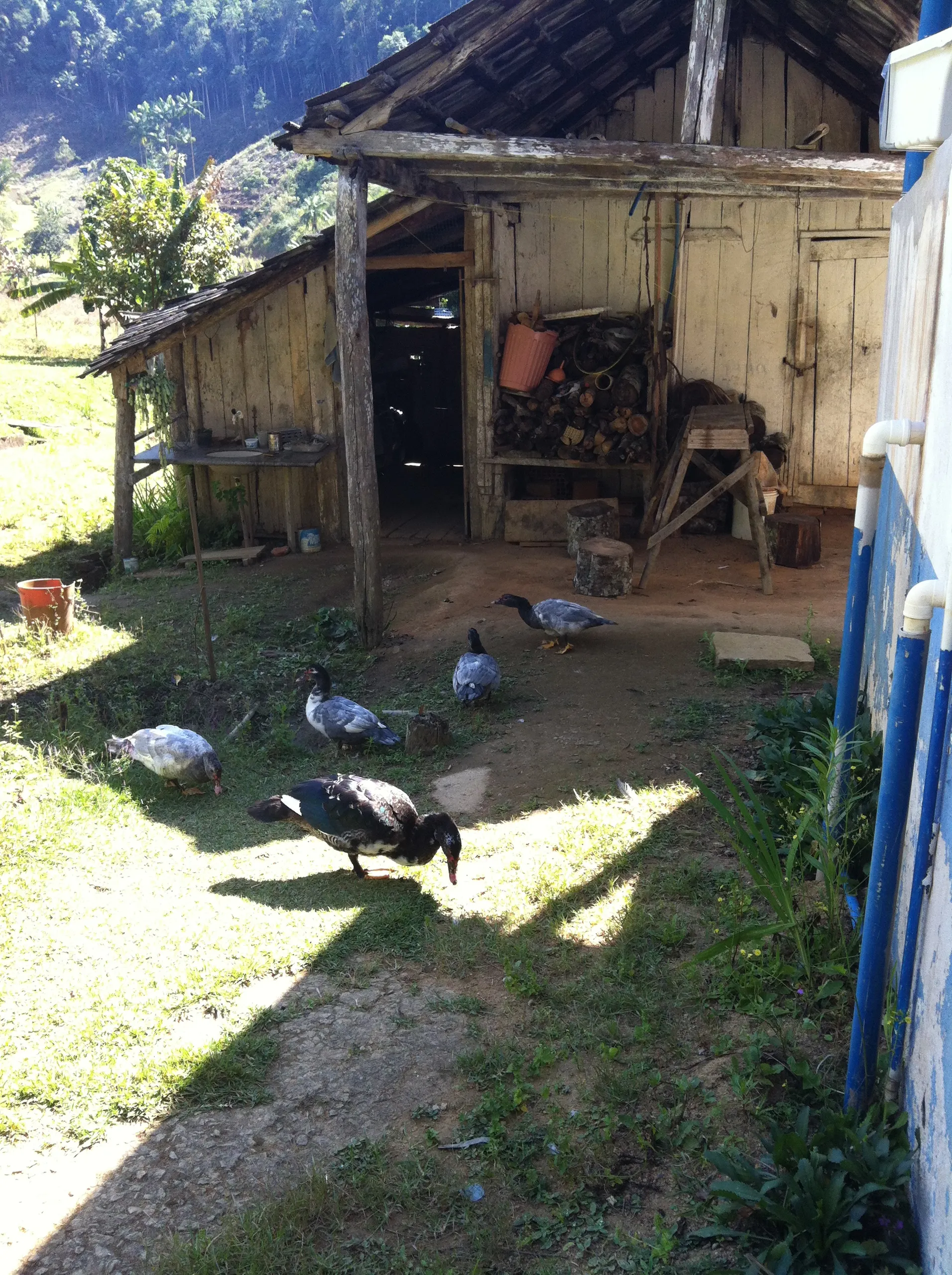 Small farm for sale of 104 acres in Domingos Martins, ES, Brazil