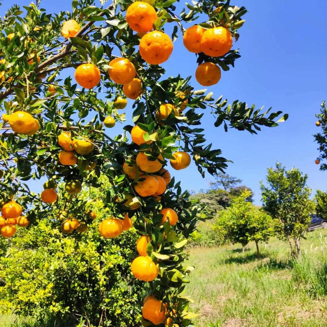 Small farm for sale of 104 acres in Domingos Martins, ES, Brazil