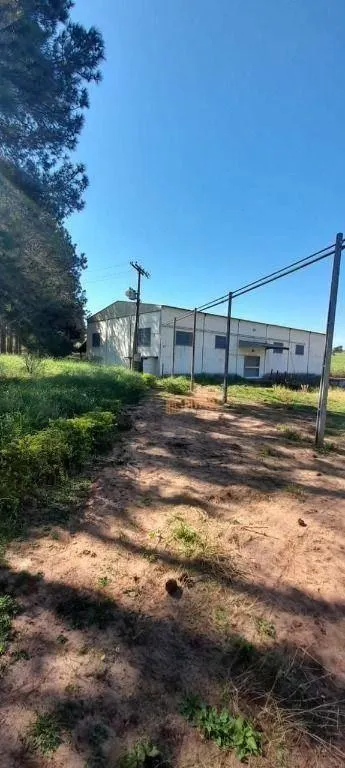 Fazenda à venda de 1.670 ha em Itaberá, SP, Brasil