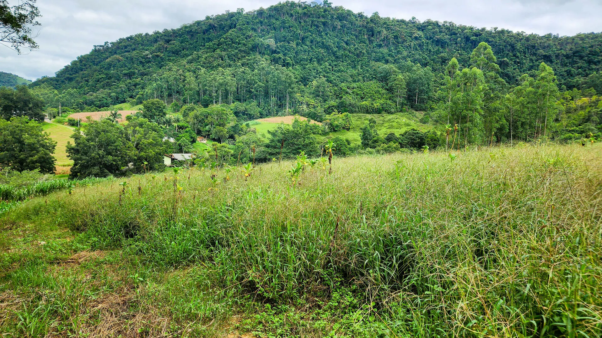 Terreno à venda de 6 ha em Vitor Meireles, SC, Brasil