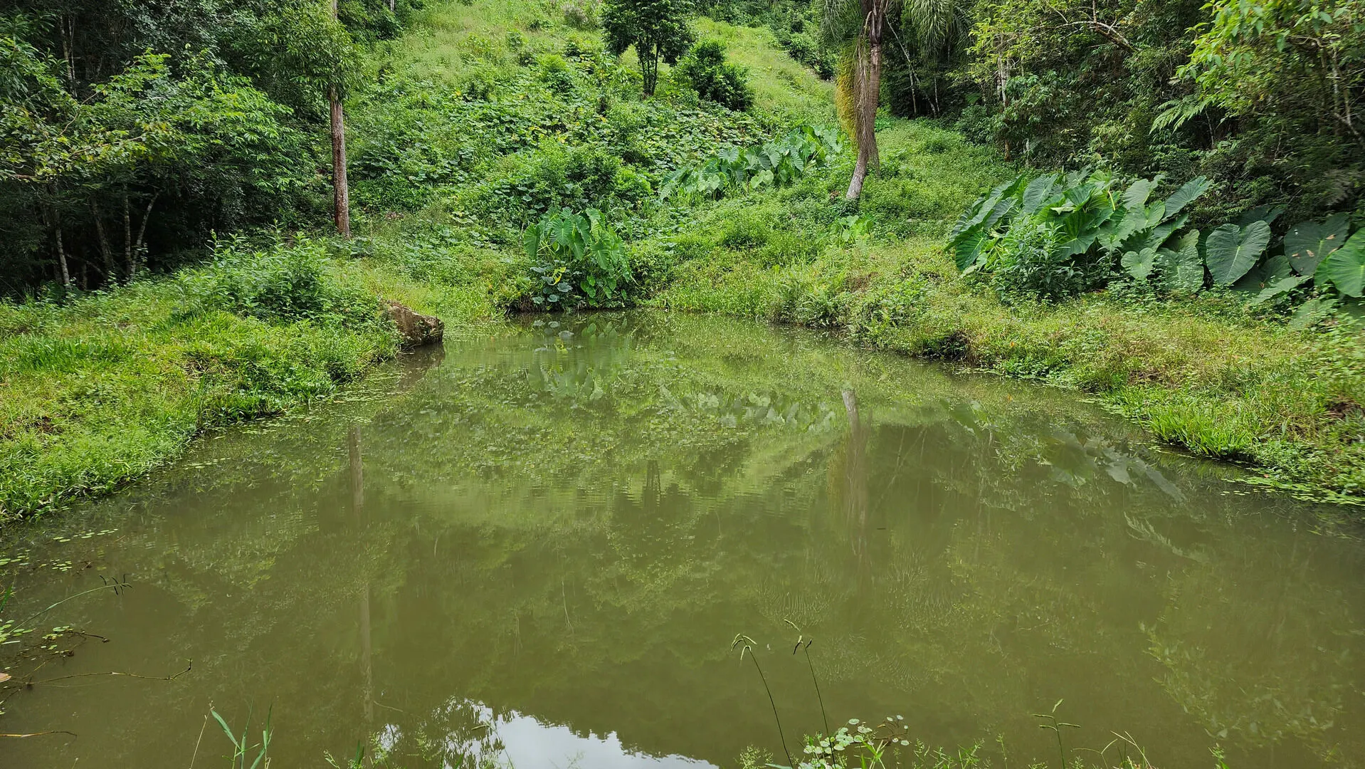 Terreno à venda de 6 ha em Vitor Meireles, SC, Brasil