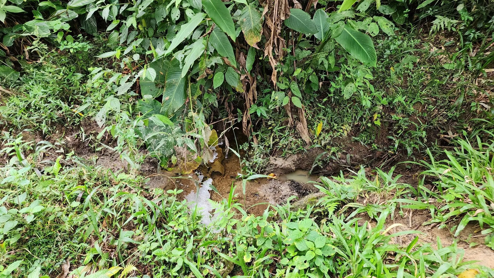 Terreno à venda de 6 ha em Vitor Meireles, SC, Brasil