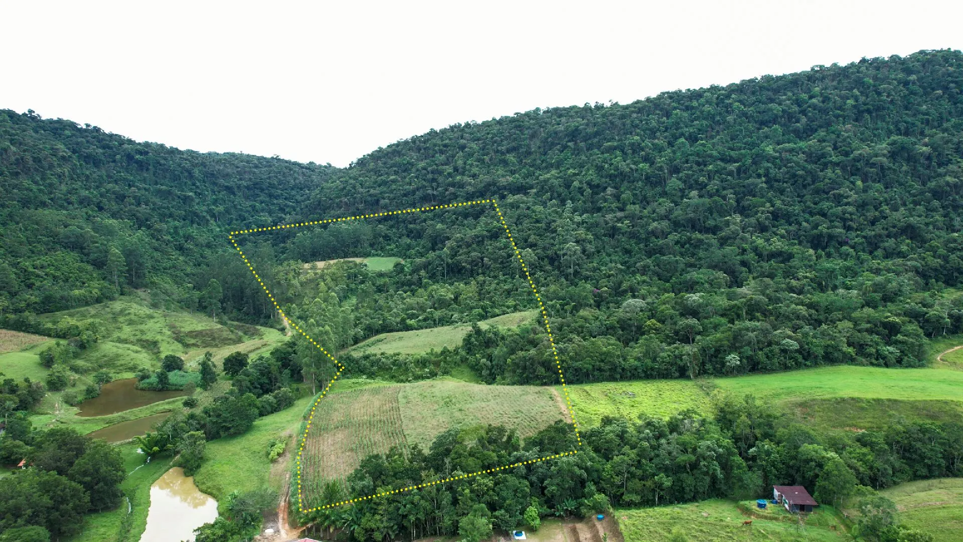 Terreno à venda de 6 ha em Vitor Meireles, SC, Brasil