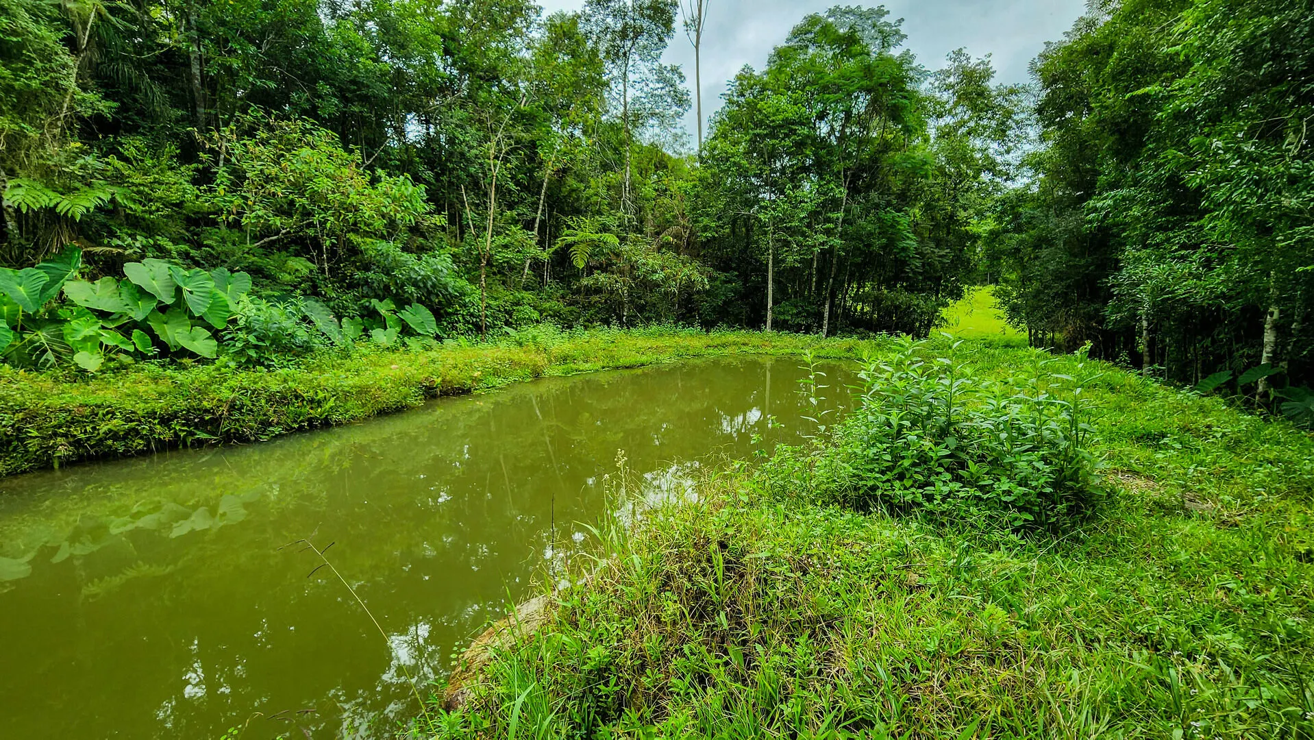 Terreno à venda de 6 ha em Vitor Meireles, SC, Brasil