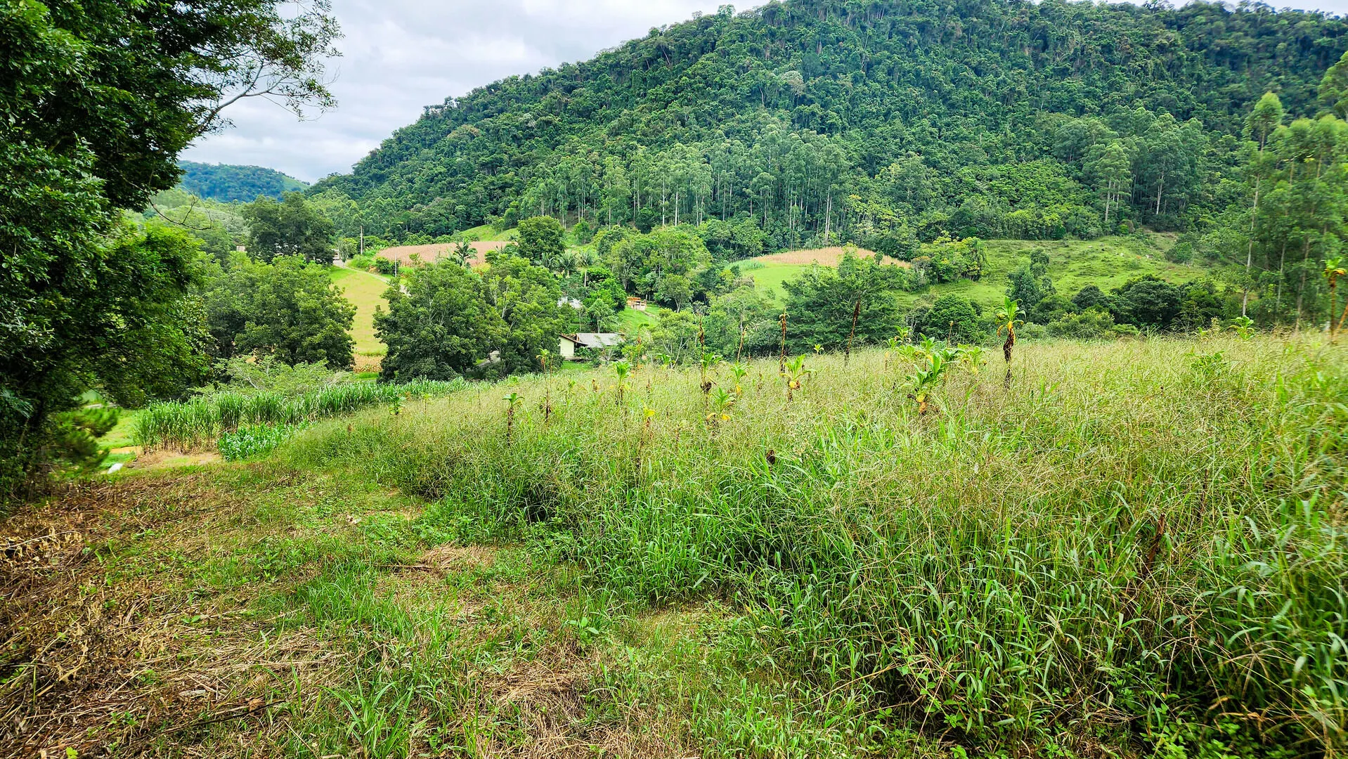 Terreno à venda de 6 ha em Vitor Meireles, SC, Brasil