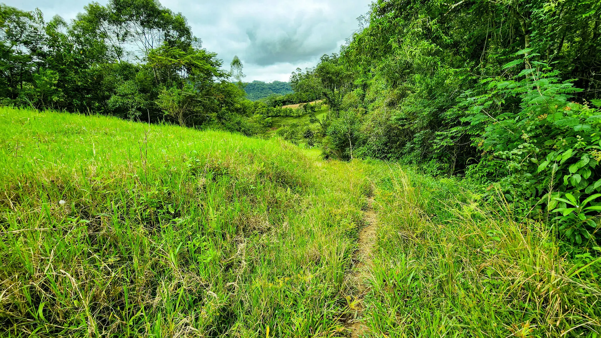 Terreno à venda de 6 ha em Vitor Meireles, SC, Brasil