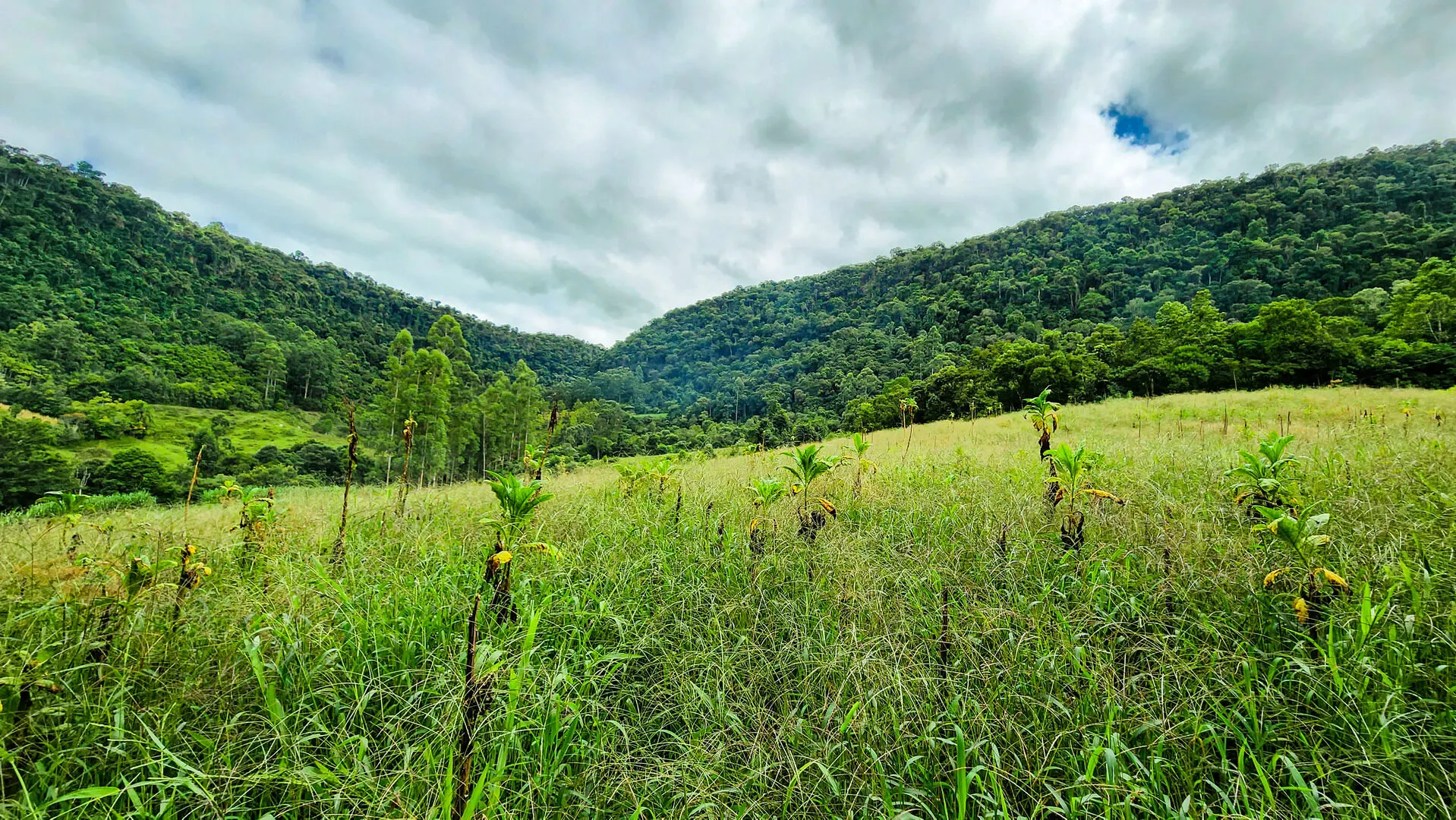 Terreno à venda de 6 ha em Vitor Meireles, SC, Brasil