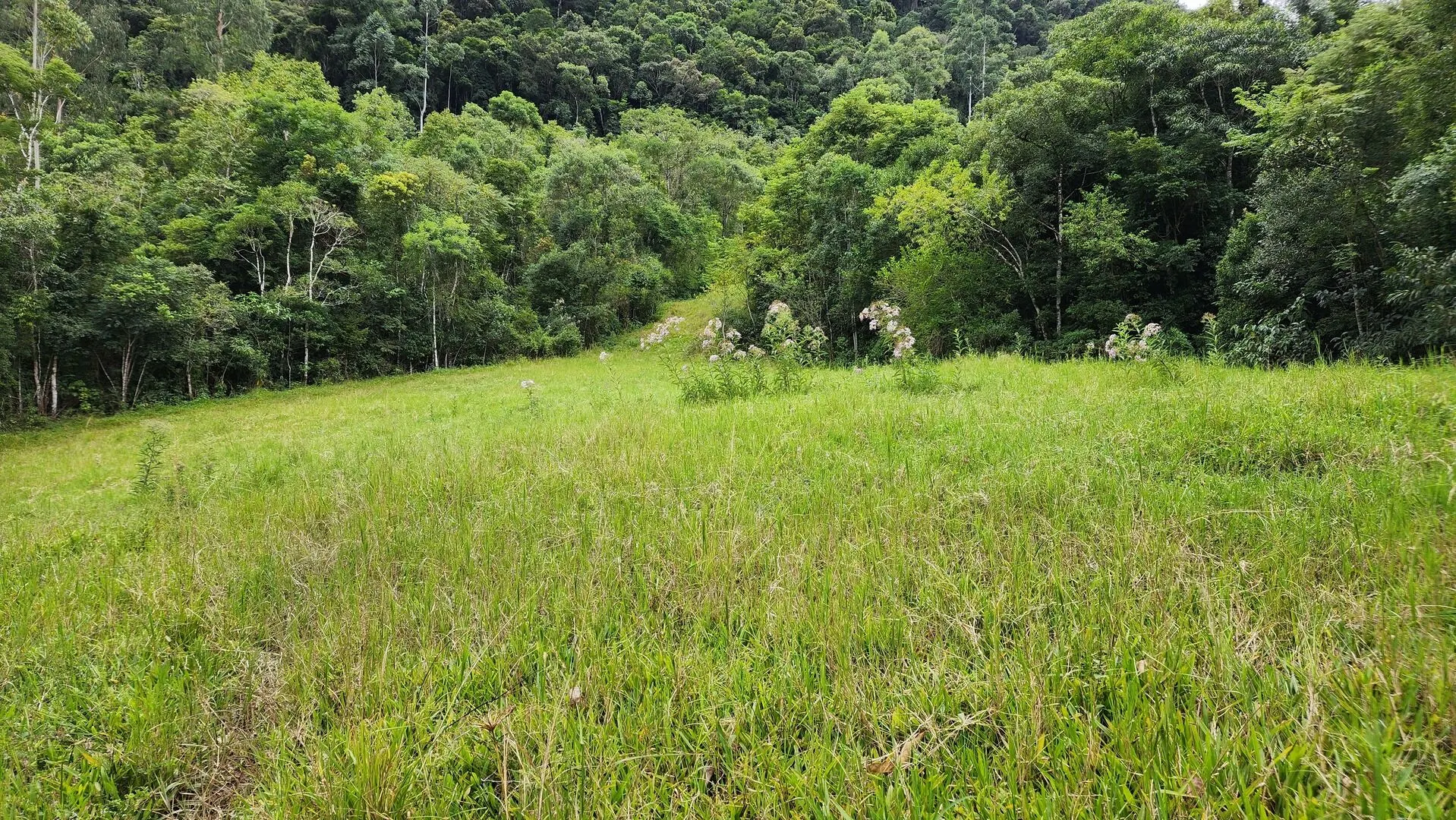 Terreno à venda de 6 ha em Vitor Meireles, SC, Brasil