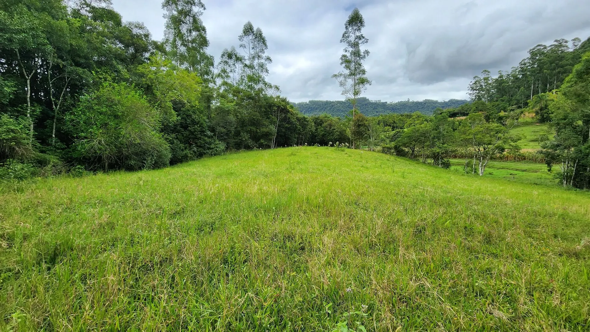 Terreno à venda de 6 ha em Vitor Meireles, SC, Brasil