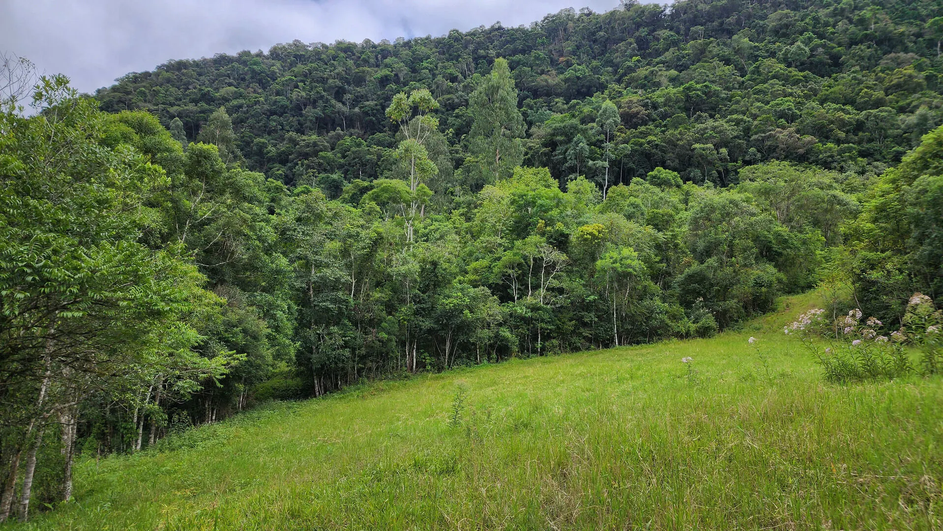 Terreno à venda de 6 ha em Vitor Meireles, SC, Brasil