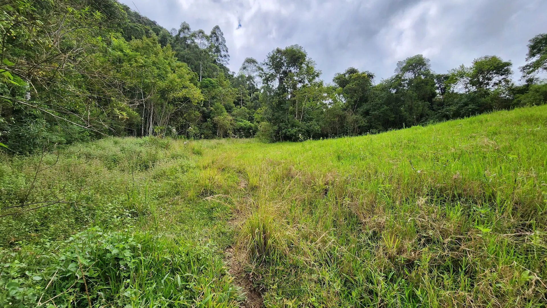 Terreno à venda de 6 ha em Vitor Meireles, SC, Brasil
