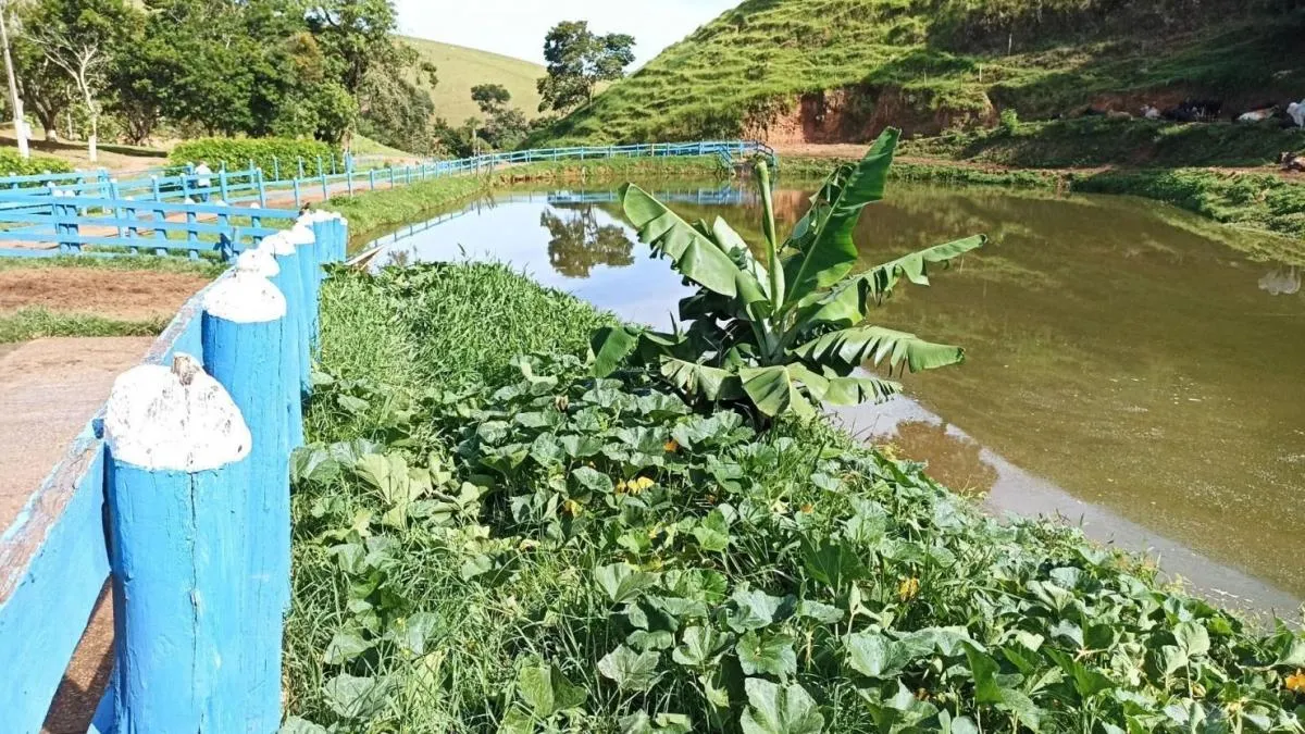 Sítio à venda de 42 ha em Paraibuna, SP, Brasil