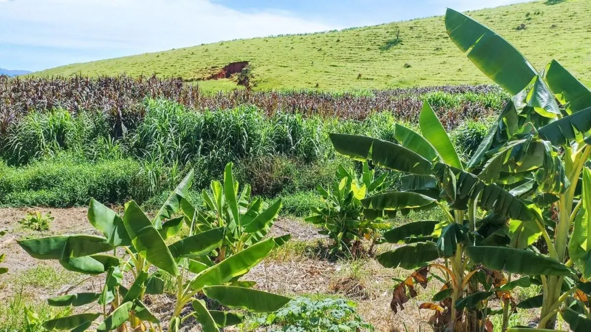 Sítio à venda de 42 ha em Paraibuna, SP, Brasil