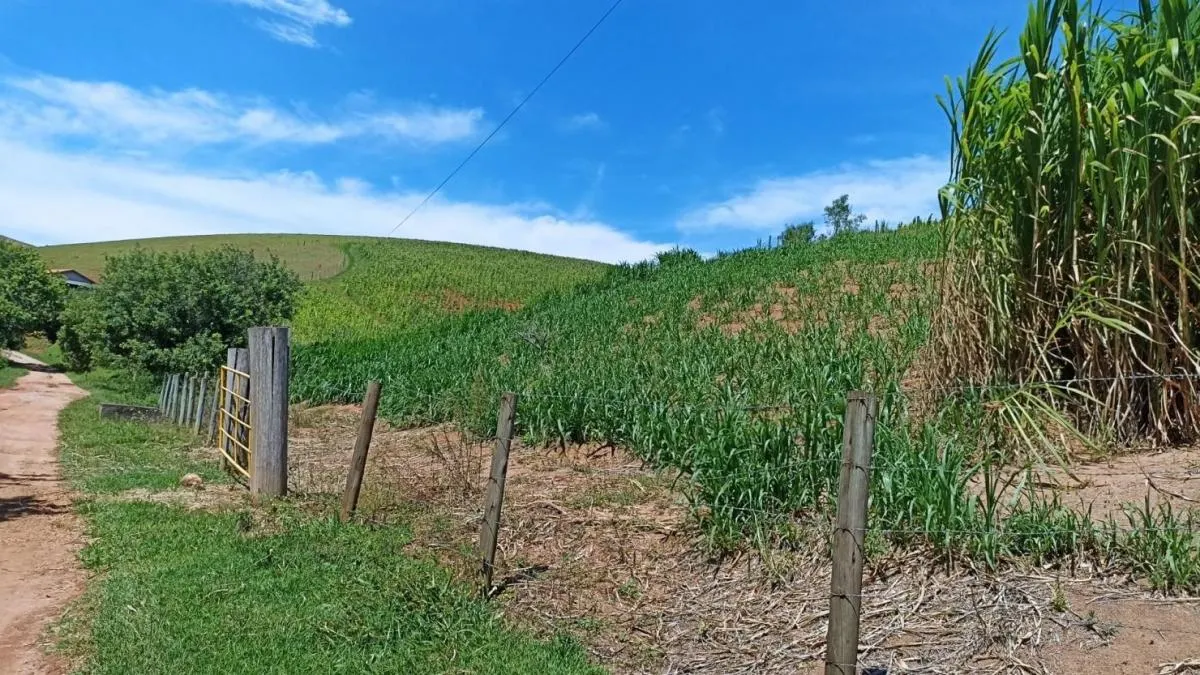 Sítio à venda de 42 ha em Paraibuna, SP, Brasil