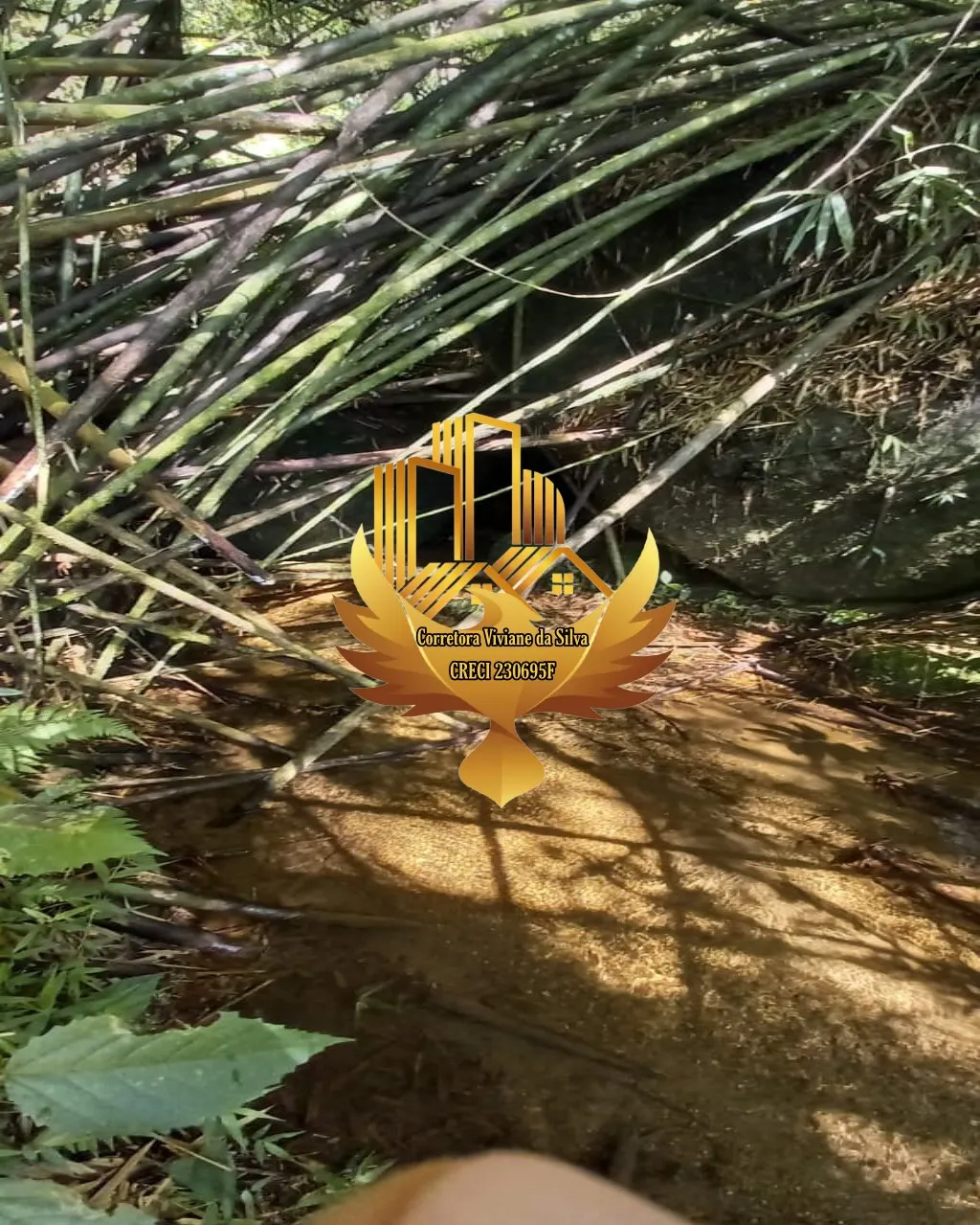 Terreno à venda de 34 ha em São José dos Campos, SP, Brasil
