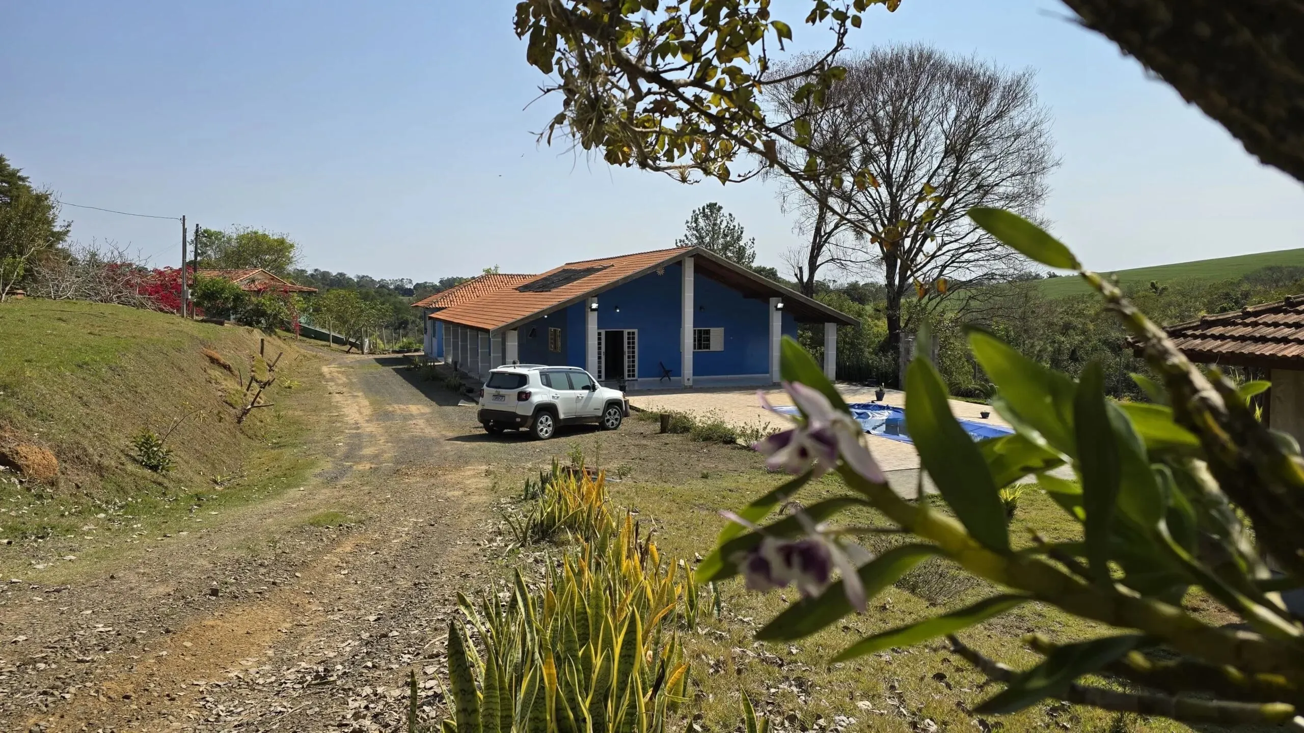 Chácara à venda de 3 ha em Japira, PR, Brasil