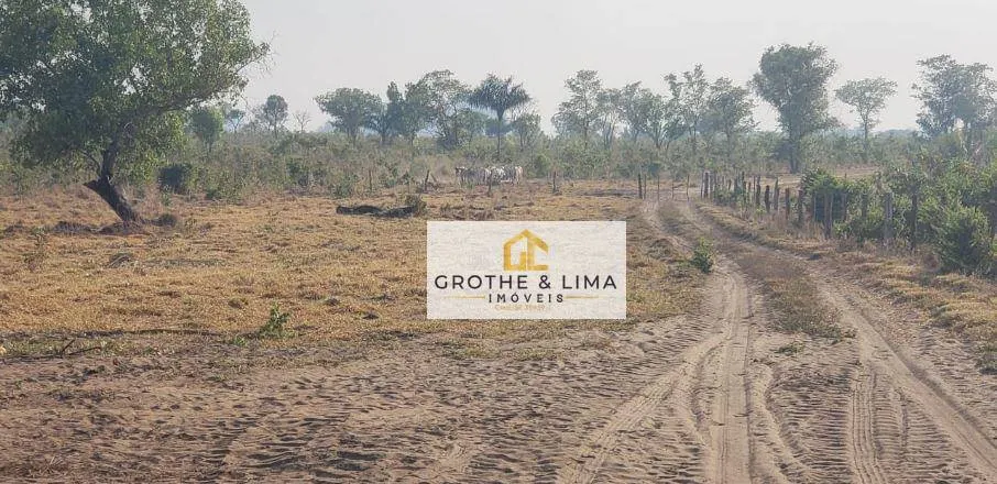 Fazenda à venda de 5.566 ha em Recursolândia, TO, Brasil