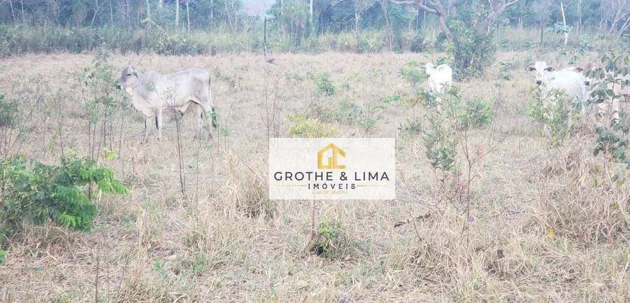 Fazenda à venda de 5.566 ha em Recursolândia, TO, Brasil