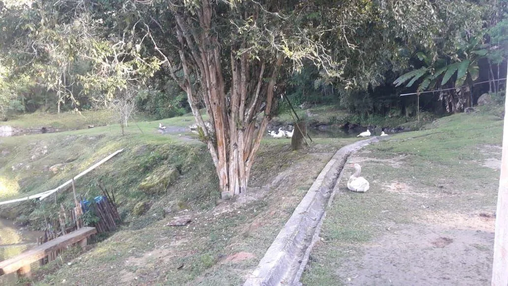 Sítio à venda de 29 ha em Juquitiba, SP, Brasil