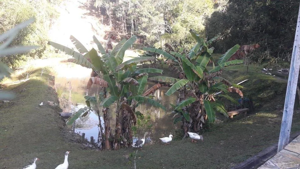 Sítio à venda de 29 ha em Juquitiba, SP, Brasil