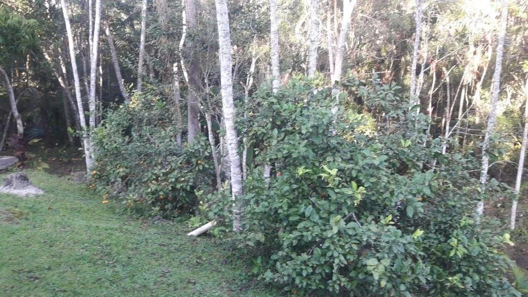 Sítio à venda de 29 ha em Juquitiba, SP, Brasil
