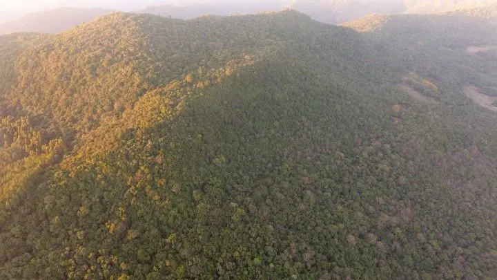 Small farm for sale of 74 acres in Riozinho, RS, Brazil