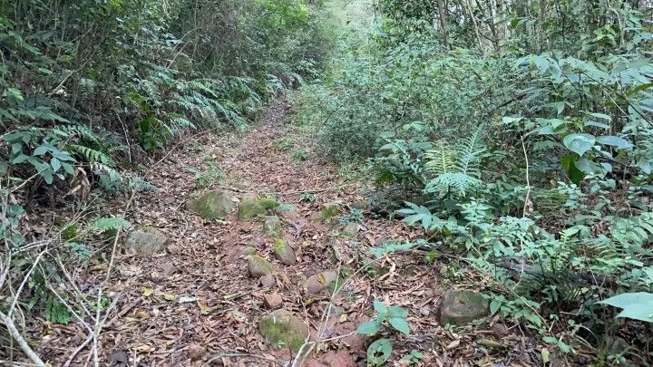 Small farm for sale of 74 acres in Riozinho, RS, Brazil