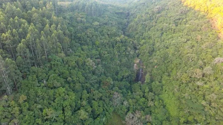 Small farm for sale of 74 acres in Riozinho, RS, Brazil