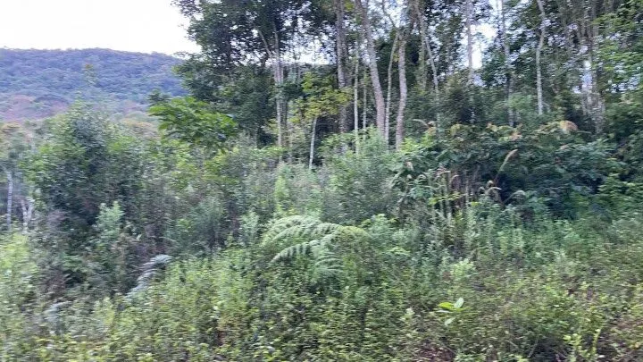 Small farm for sale of 74 acres in Riozinho, RS, Brazil