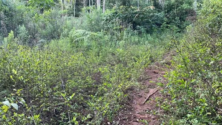 Small farm for sale of 74 acres in Riozinho, RS, Brazil