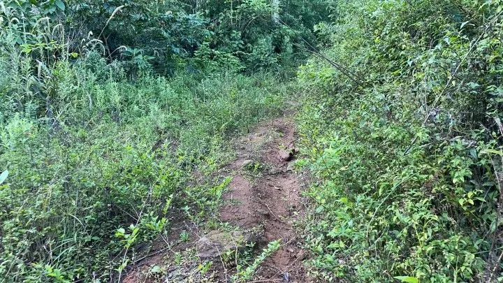 Small farm for sale of 74 acres in Riozinho, RS, Brazil