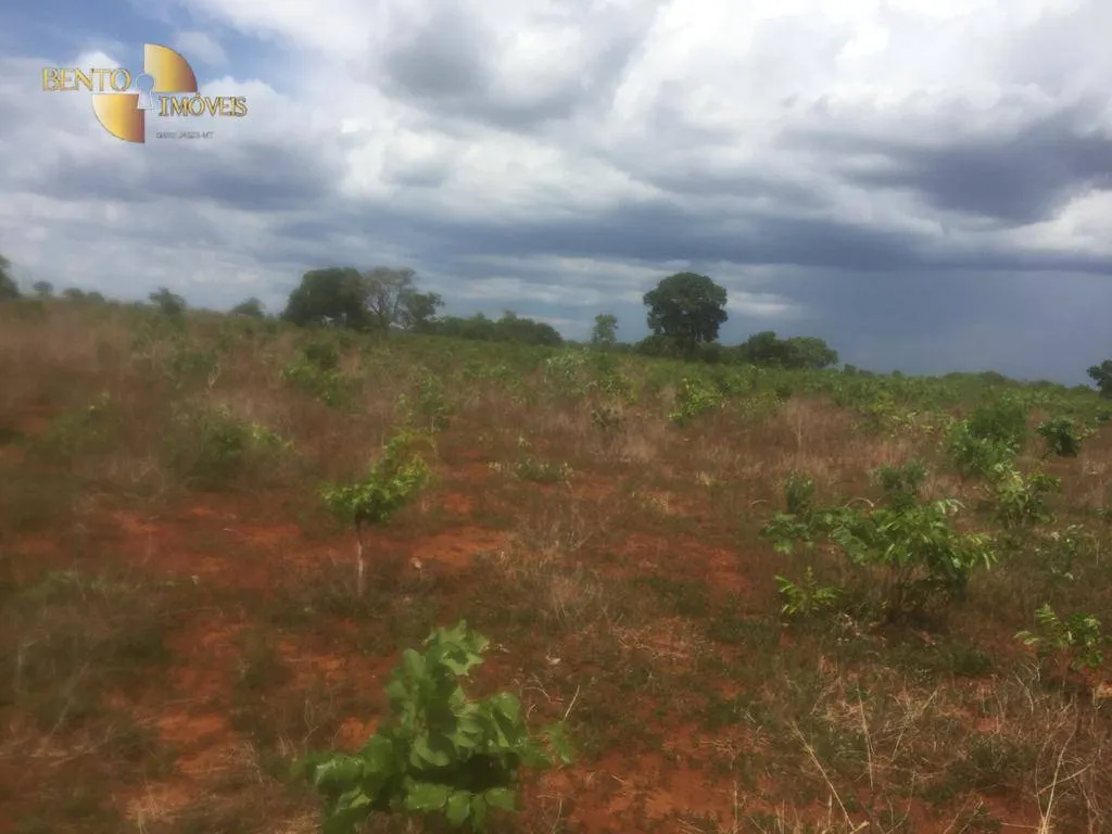 Farm for sale of 2,990 acres in Jangada, MT, Brazil