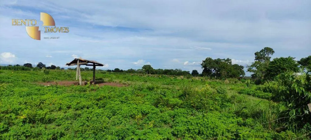 Fazenda à venda de 1.210 ha em Jangada, MT, Brasil