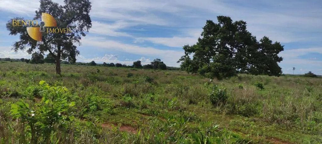 Farm for sale of 2,990 acres in Jangada, MT, Brazil