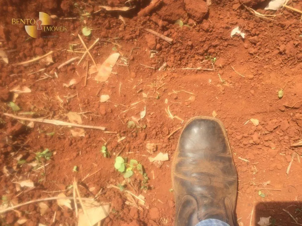 Farm for sale of 2,990 acres in Jangada, MT, Brazil