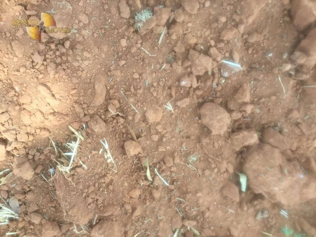 Farm for sale of 2,990 acres in Jangada, MT, Brazil