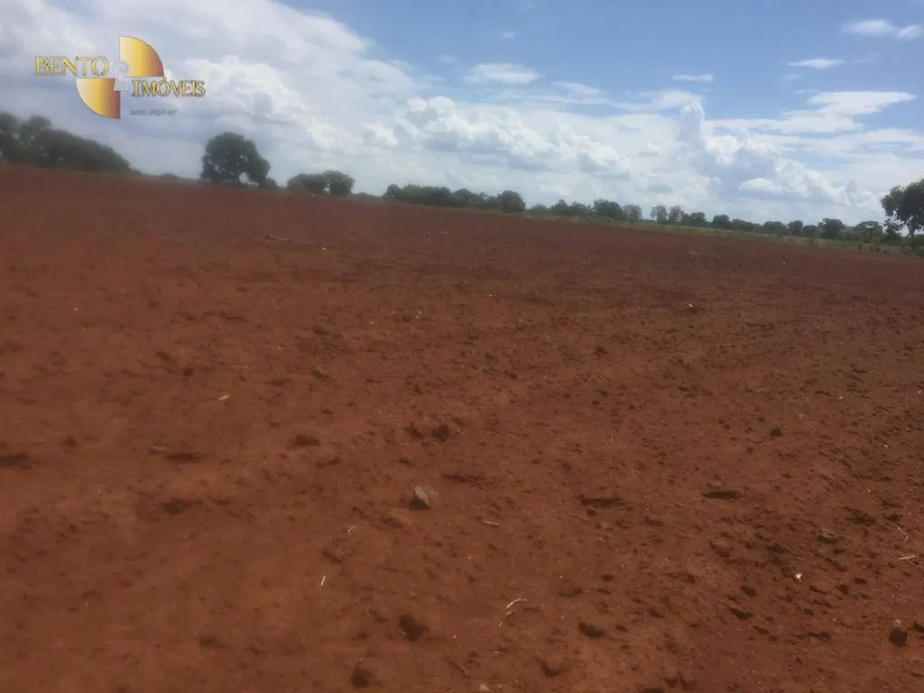 Farm for sale of 2,990 acres in Jangada, MT, Brazil