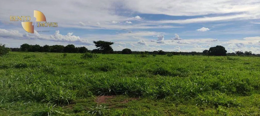 Farm for sale of 2,990 acres in Jangada, MT, Brazil